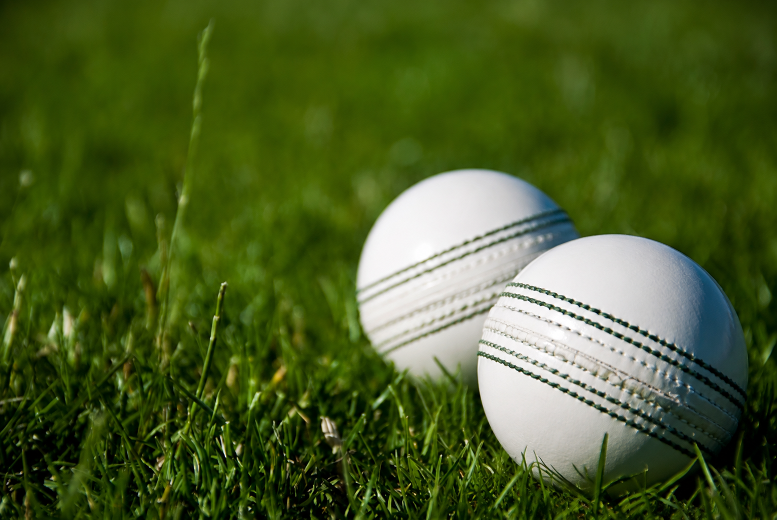 Cricket Player